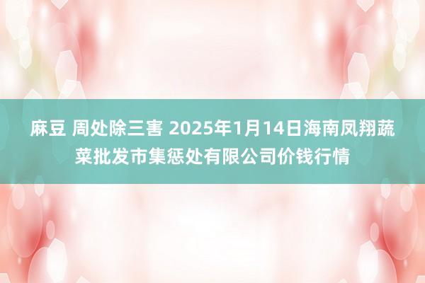 麻豆 周处除三害 2025年1月14日海南凤翔蔬菜批发市集惩处有限公司价钱行情