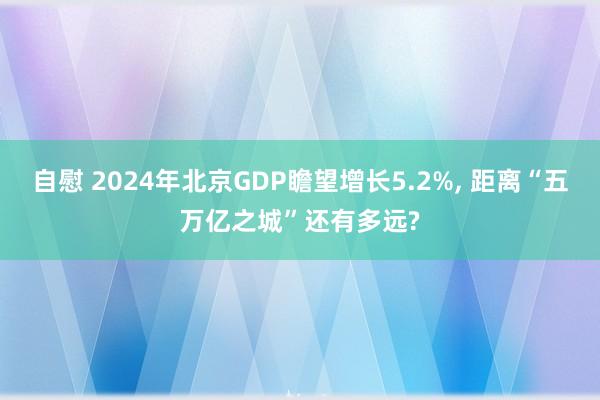 自慰 2024年北京GDP瞻望增长5.2%， 距离“五万亿之城”还有多远?