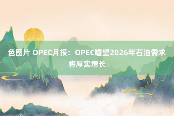 色图片 OPEC月报：OPEC瞻望2026年石油需求将厚实增长