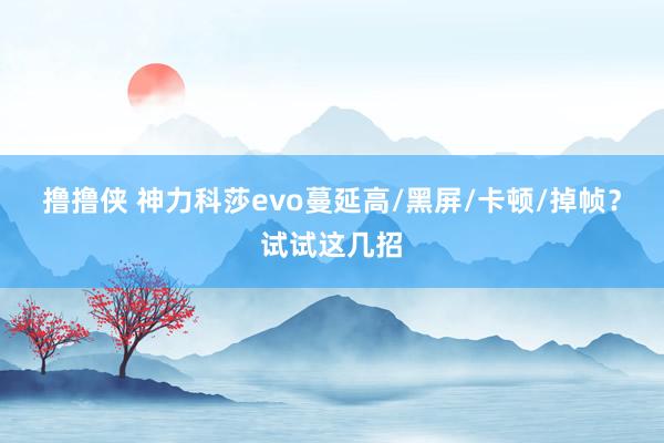 撸撸侠 神力科莎evo蔓延高/黑屏/卡顿/掉帧？试试这几招