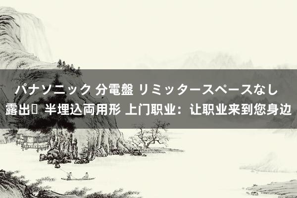 パナソニック 分電盤 リミッタースペースなし 露出・半埋込両用形 上门职业：让职业来到您身边