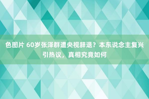 色图片 60岁张泽群遭央视辞退？本东说念主复兴引热议，真相究竟如何